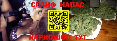spice Ярославль